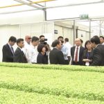 Visa tình nguyện ở Israel