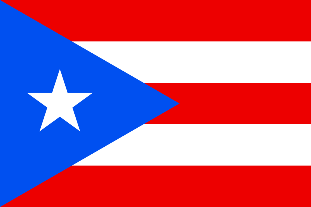 Chứng minh tài chính và bảo hiểm du lịch đến Puerto Vico