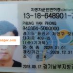 Hỗ trợ đổi bằng lái xe nước ngoài