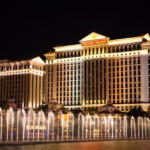 Gambling Odds Payout Calculator: Estimate Your Payouts