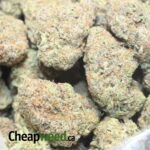 Sauce Principles: Gelato 1G Alive Resin Infused Crossbreed