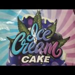 Cannabis Gummies The perfect Delicious Lose! Buyer’s Book