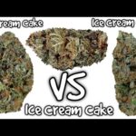 Ideas on how to Buy Weed On the internet: Mail order Cannabis Is a lot easier Than just You think