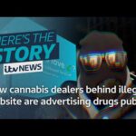 Acquisition Weed Gummies & THC Gummies On the web